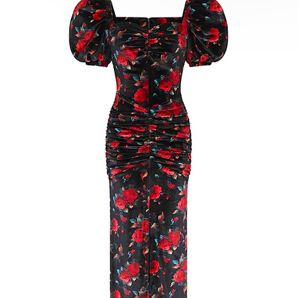Autumn Adeigbo Dresses & Skirts - 🌹AUTUMN ADEIGBO ROWENNA FLORAL VELVET DRESS 14🌹